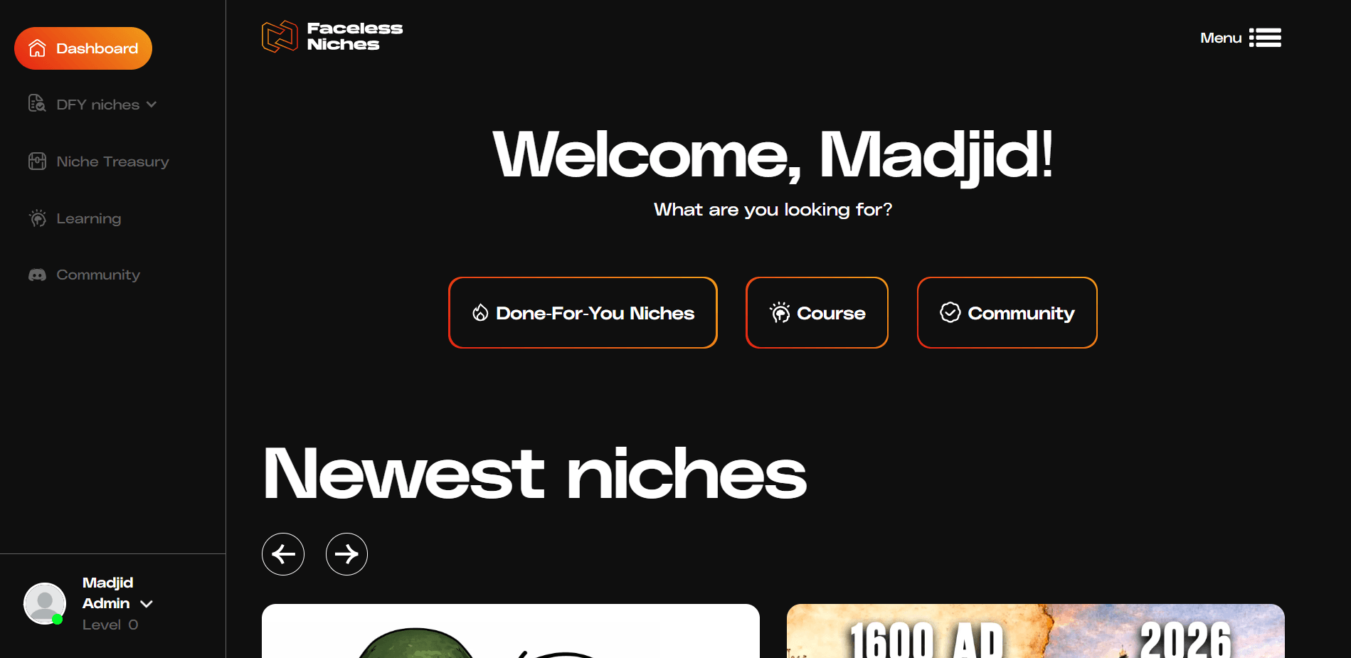 Faceless Niches screenshot